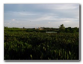 Green-Cay-Wetlands-Boynton-Beach-FL-052