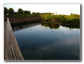 Green-Cay-Wetlands-Boynton-Beach-FL-055