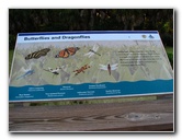 Green-Cay-Wetlands-Boynton-Beach-FL-063