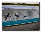 Green-Cay-Wetlands-Boynton-Beach-FL-075