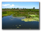 Green-Cay-Wetlands-Boynton-Beach-FL-098