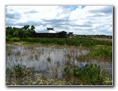 Green-Cay-Wetlands-Boynton-Beach-FL-104