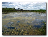 Green-Cay-Wetlands-Boynton-Beach-FL-110