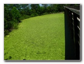 Green-Cay-Wetlands-Boynton-Beach-FL-118