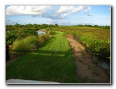 Green-Cay-Wetlands-Boynton-Beach-FL-132