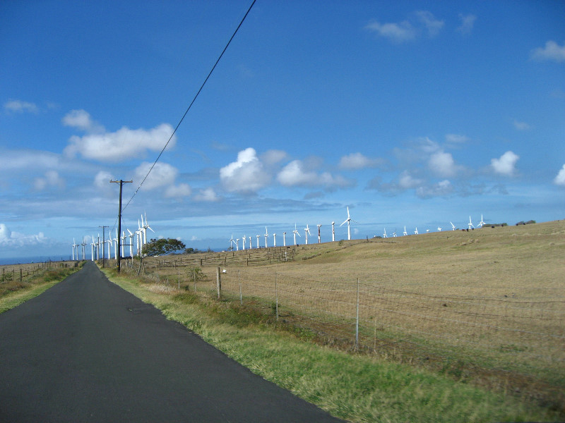 Green-Sand-Beach-South-Point-Big-Island-Hawaii-003