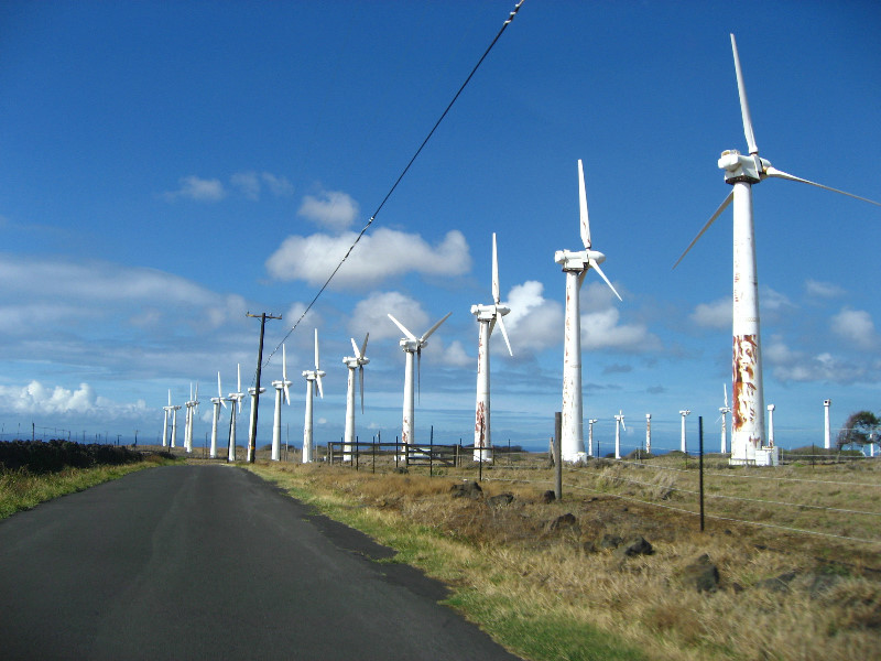 Green-Sand-Beach-South-Point-Big-Island-Hawaii-005