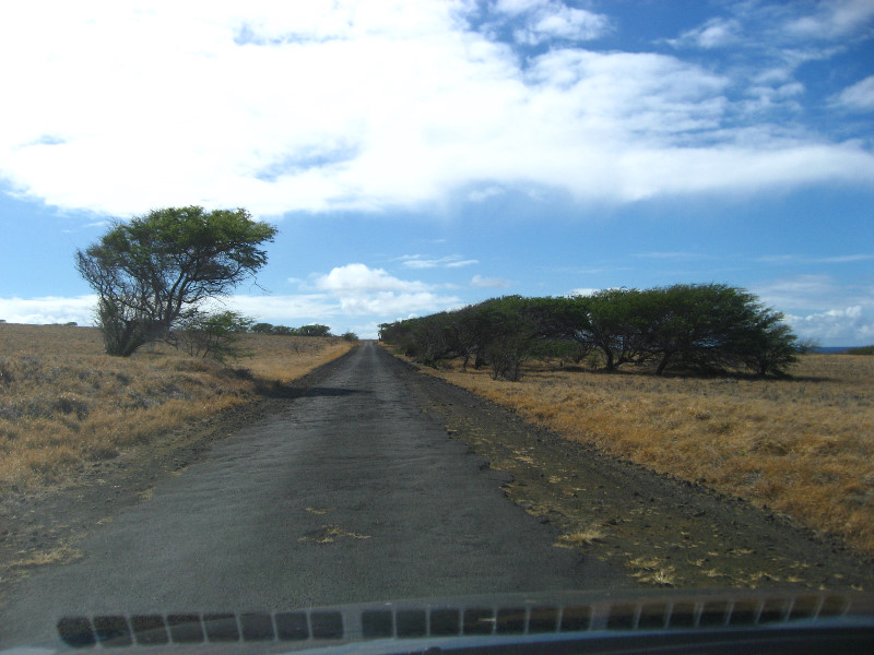 Green-Sand-Beach-South-Point-Big-Island-Hawaii-009