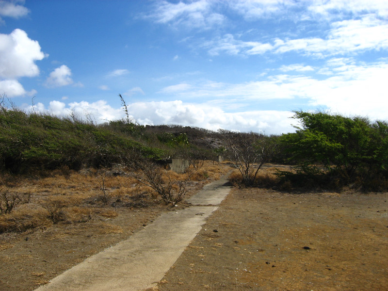 Green-Sand-Beach-South-Point-Big-Island-Hawaii-011