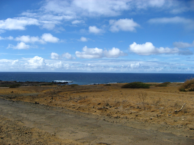 Green-Sand-Beach-South-Point-Big-Island-Hawaii-014