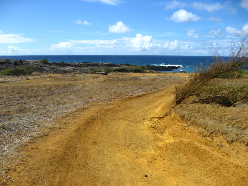 Green-Sand-Beach-South-Point-Big-Island-Hawaii-018
