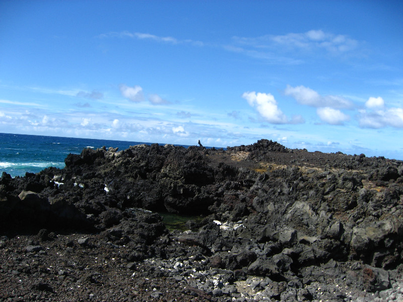 Green-Sand-Beach-South-Point-Big-Island-Hawaii-023