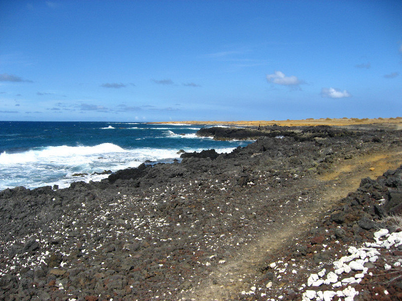 Green-Sand-Beach-South-Point-Big-Island-Hawaii-027