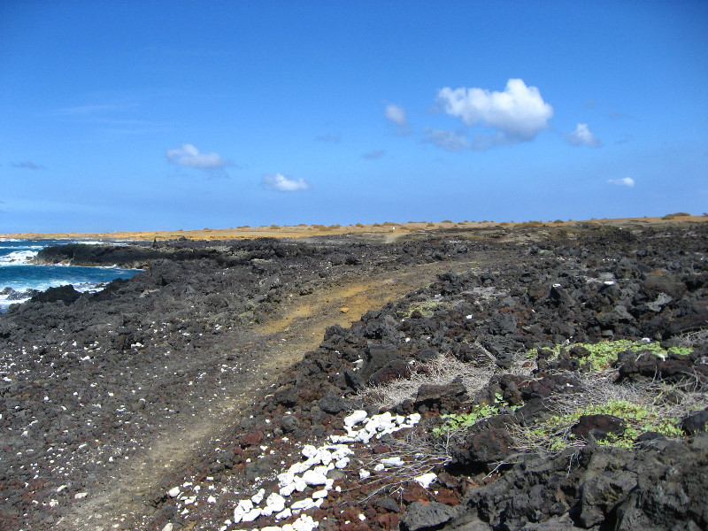 Green-Sand-Beach-South-Point-Big-Island-Hawaii-028