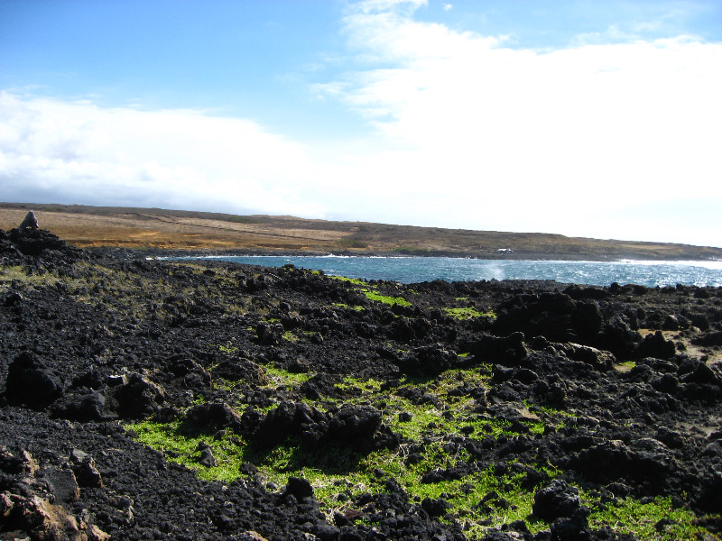 Green-Sand-Beach-South-Point-Big-Island-Hawaii-032