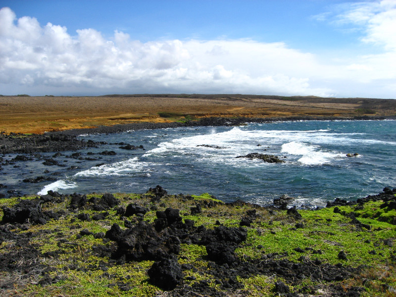 Green-Sand-Beach-South-Point-Big-Island-Hawaii-035