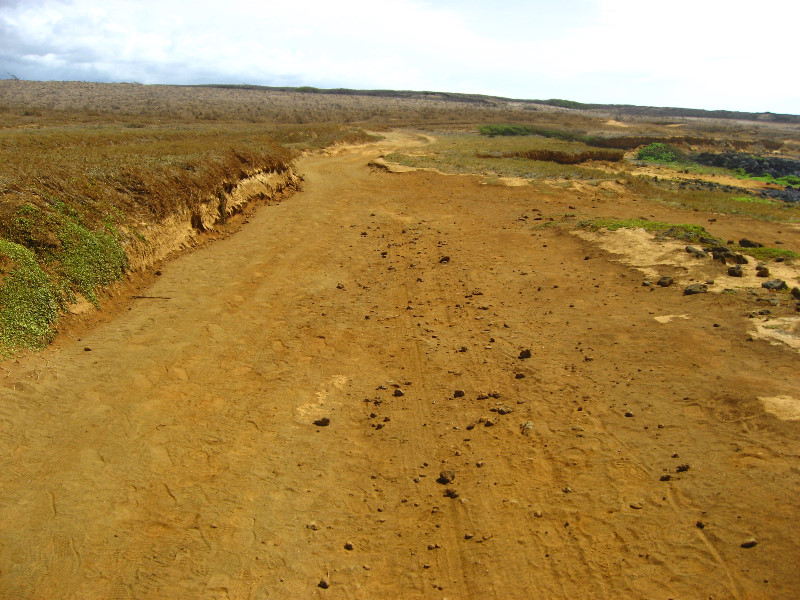 Green-Sand-Beach-South-Point-Big-Island-Hawaii-041
