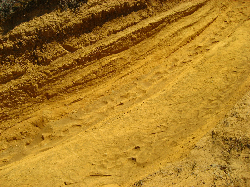 Green-Sand-Beach-South-Point-Big-Island-Hawaii-042