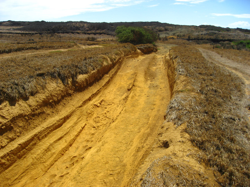 Green-Sand-Beach-South-Point-Big-Island-Hawaii-043