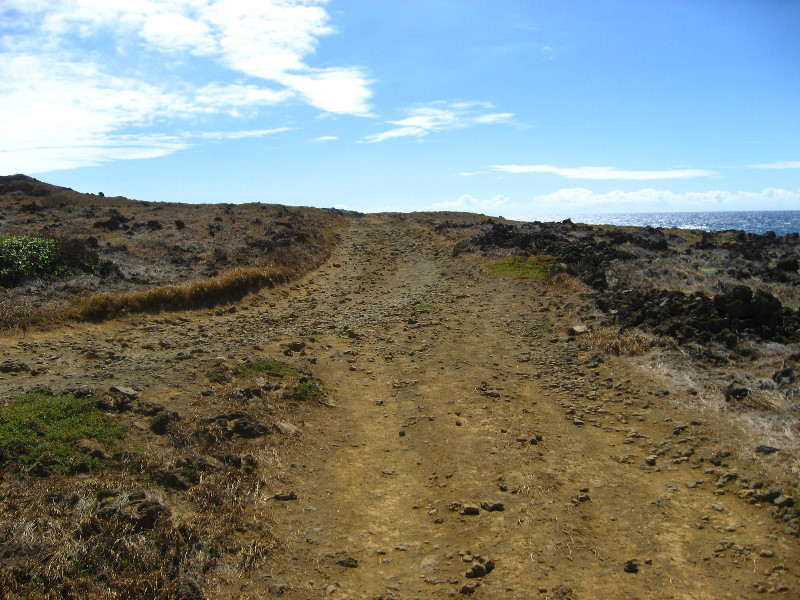Green-Sand-Beach-South-Point-Big-Island-Hawaii-044