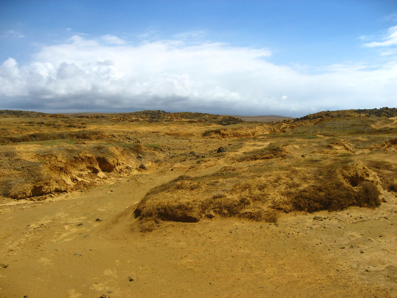 Green-Sand-Beach-South-Point-Big-Island-Hawaii-058