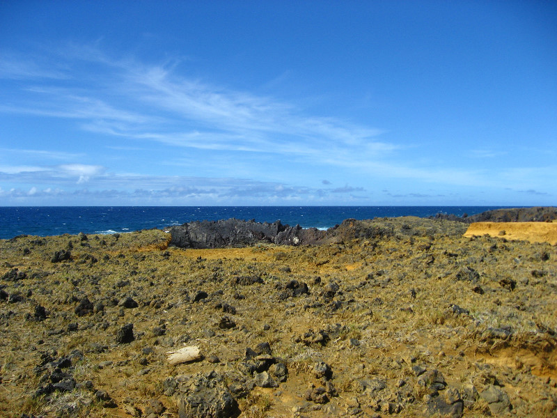 Green-Sand-Beach-South-Point-Big-Island-Hawaii-063