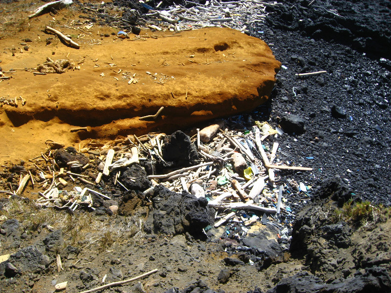 Green-Sand-Beach-South-Point-Big-Island-Hawaii-067