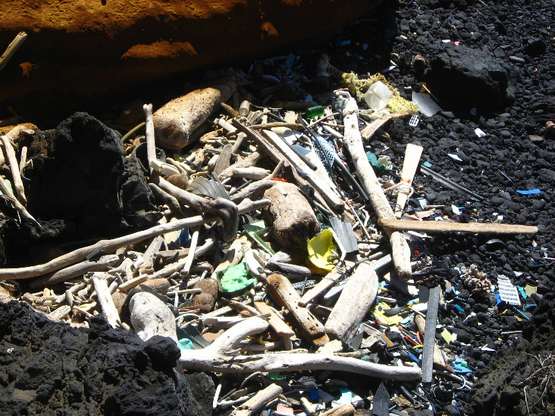 Green-Sand-Beach-South-Point-Big-Island-Hawaii-068