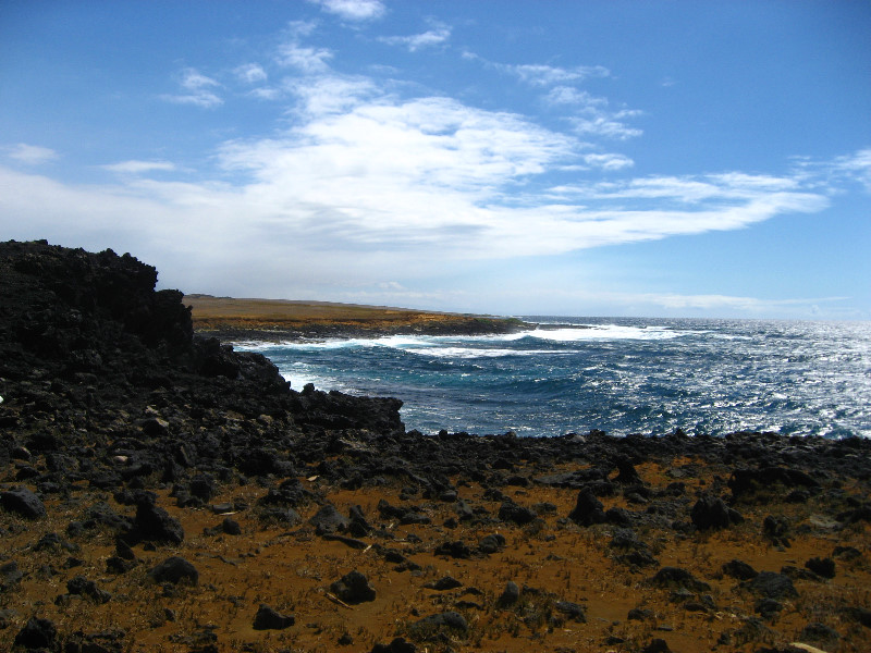 Green-Sand-Beach-South-Point-Big-Island-Hawaii-070