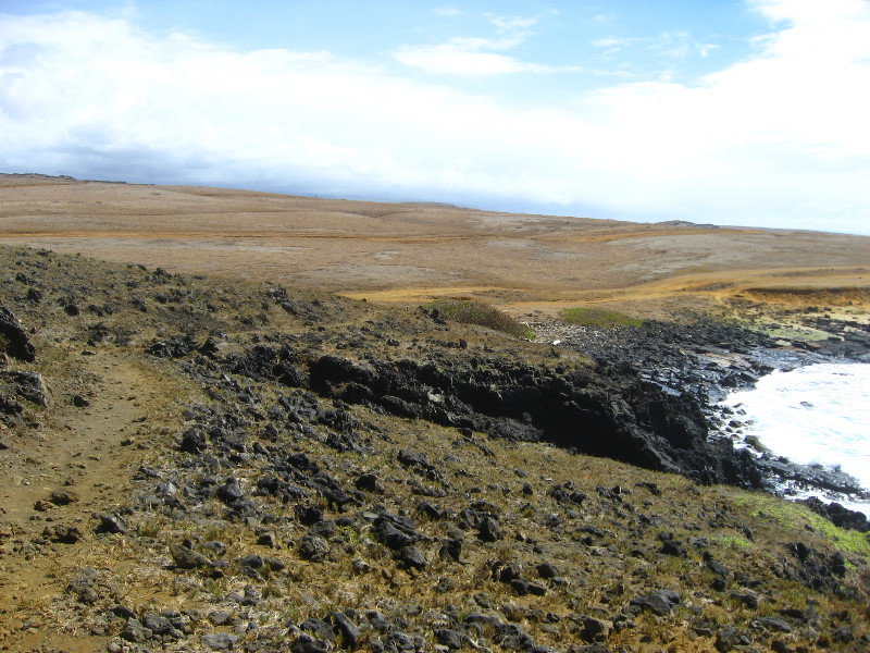 Green-Sand-Beach-South-Point-Big-Island-Hawaii-076