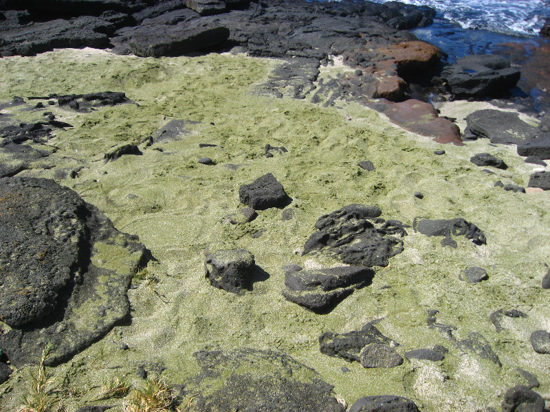 Green-Sand-Beach-South-Point-Big-Island-Hawaii-082