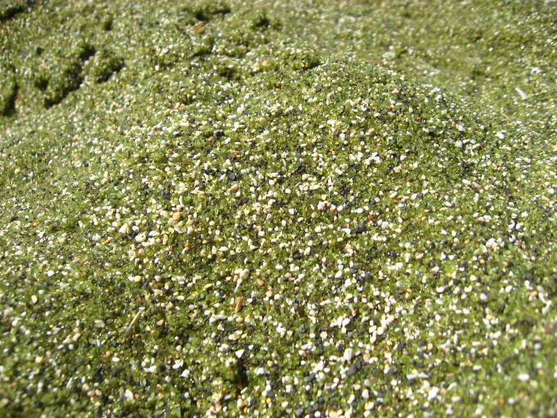 Green-Sand-Beach-South-Point-Big-Island-Hawaii-083