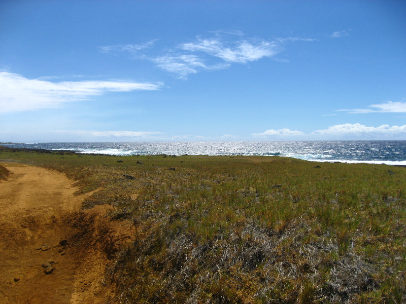 Green-Sand-Beach-South-Point-Big-Island-Hawaii-089