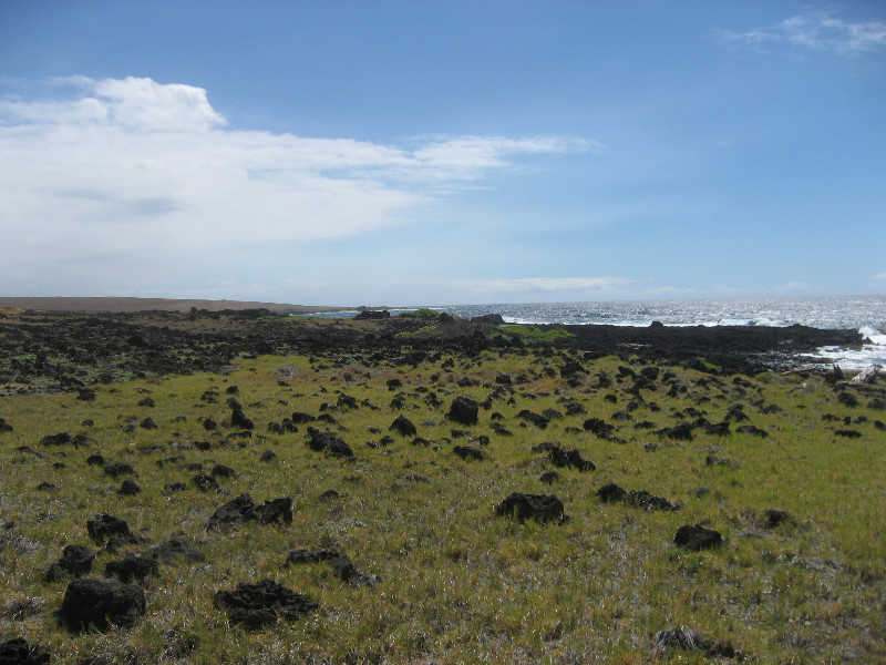 Green-Sand-Beach-South-Point-Big-Island-Hawaii-091
