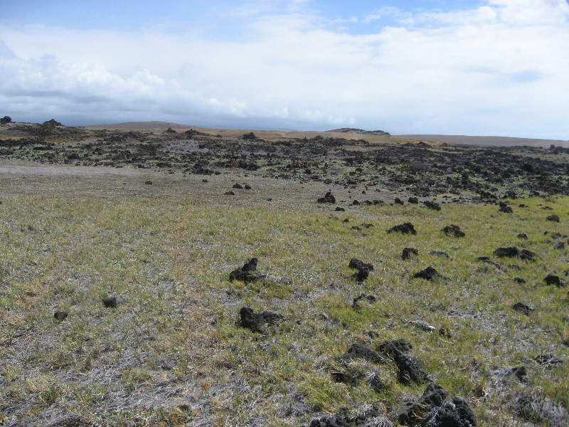 Green-Sand-Beach-South-Point-Big-Island-Hawaii-092