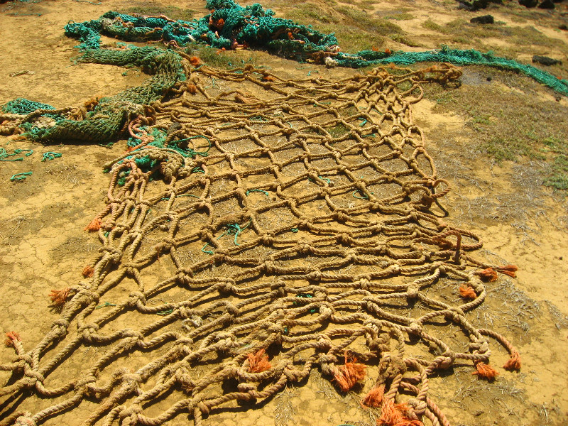 Green-Sand-Beach-South-Point-Big-Island-Hawaii-093