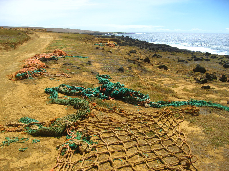 Green-Sand-Beach-South-Point-Big-Island-Hawaii-094