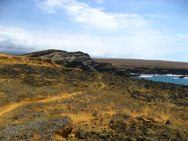 Green-Sand-Beach-South-Point-Big-Island-Hawaii-095