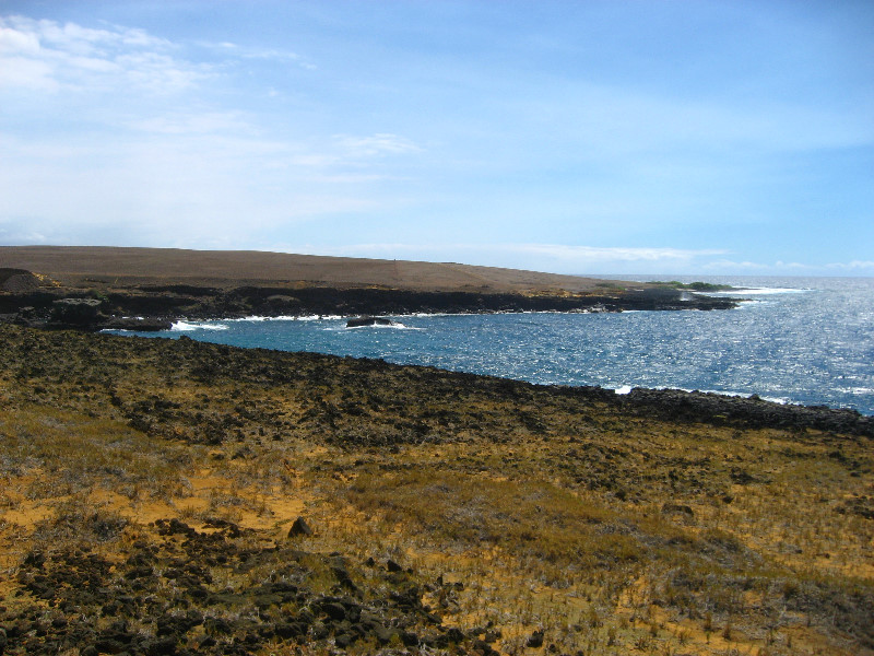 Green-Sand-Beach-South-Point-Big-Island-Hawaii-096