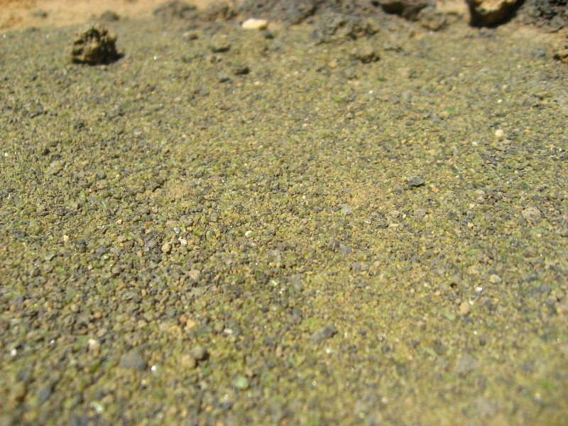 Green-Sand-Beach-South-Point-Big-Island-Hawaii-116