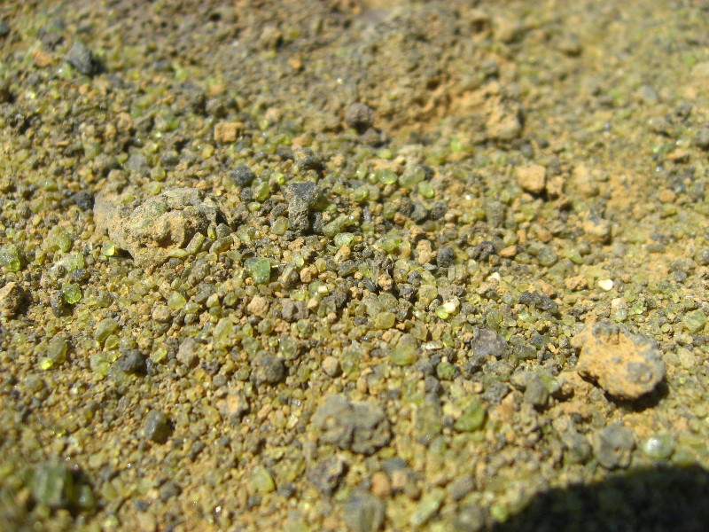 Green-Sand-Beach-South-Point-Big-Island-Hawaii-117