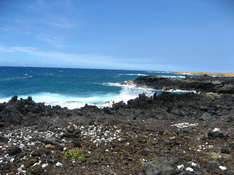 Green-Sand-Beach-South-Point-Big-Island-Hawaii-120
