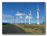 Green-Sand-Beach-South-Point-Big-Island-Hawaii-005