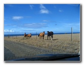 Green-Sand-Beach-South-Point-Big-Island-Hawaii-008