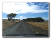 Green-Sand-Beach-South-Point-Big-Island-Hawaii-009