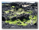 Green-Sand-Beach-South-Point-Big-Island-Hawaii-033