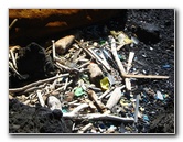 Green-Sand-Beach-South-Point-Big-Island-Hawaii-068