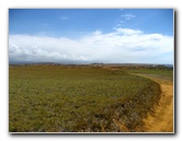 Green-Sand-Beach-South-Point-Big-Island-Hawaii-090