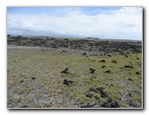 Green-Sand-Beach-South-Point-Big-Island-Hawaii-092