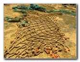 Green-Sand-Beach-South-Point-Big-Island-Hawaii-093